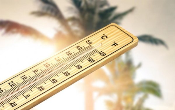 世界杯全球运动用品供应平台 从遮光窗帘到强劲空调: 科学防暑的每一步皆算数