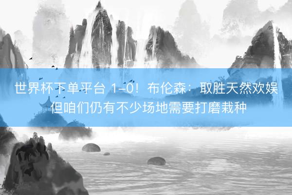 世界杯下单平台 1-0！布伦森：取胜天然欢娱 但咱们仍有不少场地需要打磨栽种