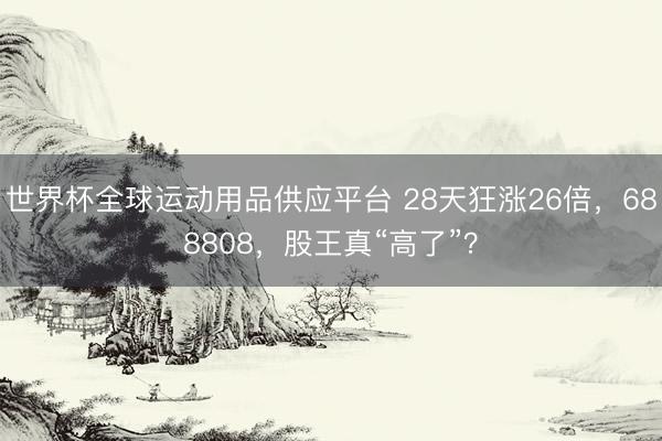 世界杯全球运动用品供应平台 28天狂涨26倍，688808，股王真“高了”？