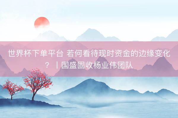 世界杯下单平台 若何看待现时资金的边缘变化？丨国盛固收杨业伟团队