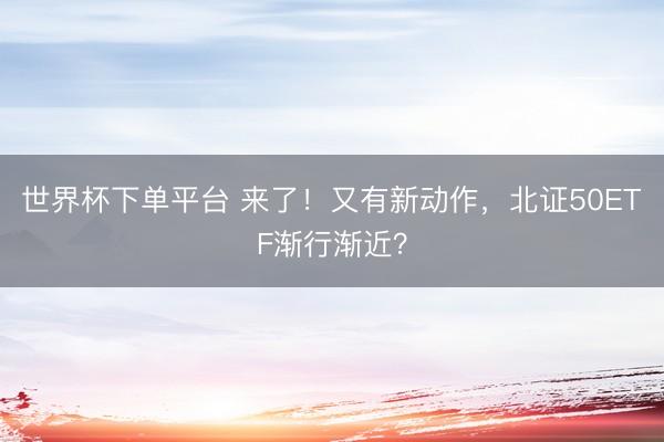 世界杯下单平台 来了！又有新动作，北证50ETF渐行渐近？