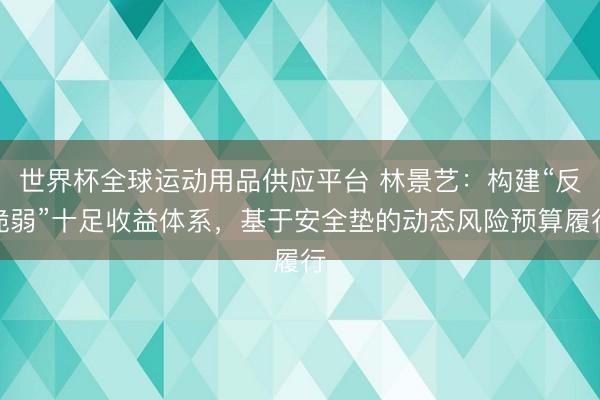 世界杯全球运动用品供应平台 林景艺：构建“反脆弱”十足收益体系，基于安全垫的动态风险预算履行