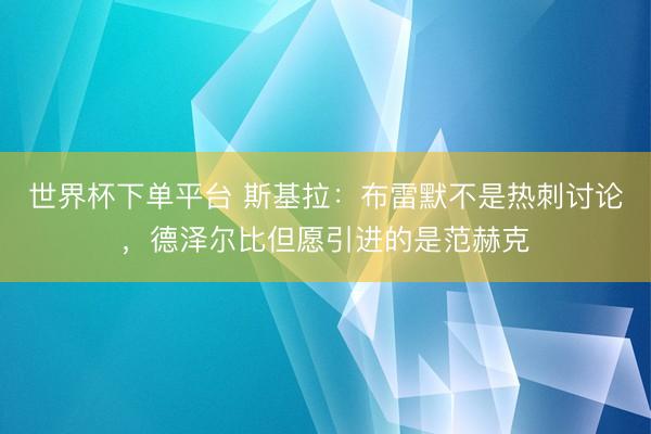 世界杯下单平台 斯基拉：布雷默不是热刺讨论，德泽尔比但愿引进的是范赫克