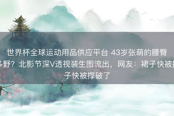 世界杯全球运动用品供应平台 43岁张萌的腰臀比有多野？北影节深V透视装生图流出，网友：裙子快被撑破了