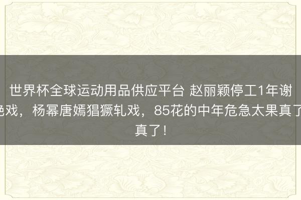 世界杯全球运动用品供应平台 赵丽颖停工1年谢绝戏,杨幂唐嫣猖獗轧戏,85花的中年危急太果真了!