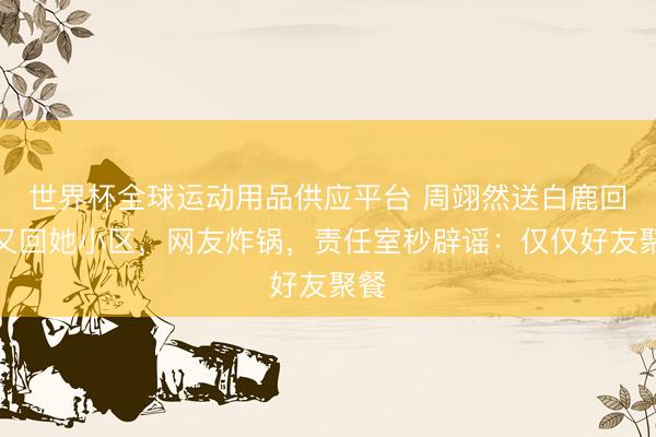 世界杯全球运动用品供应平台 周翊然送白鹿回家又回她小区，网友炸锅，责任室秒辟谣：仅仅好友聚餐