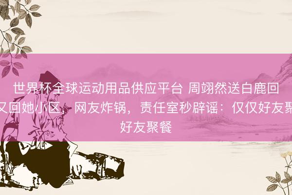 世界杯全球运动用品供应平台 周翊然送白鹿回家又回她小区，网友炸锅，责任室秒辟谣：仅仅好友聚餐