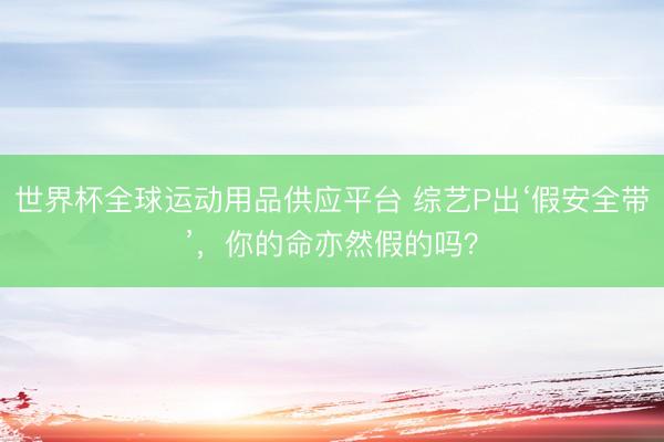 世界杯全球运动用品供应平台 综艺P出‘假安全带’，你的命亦然假的吗？