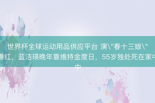 世界杯全球运动用品供应平台 演
