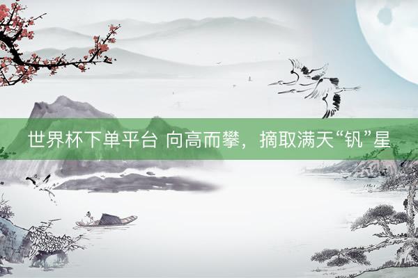 世界杯下单平台 向高而攀,摘取满天“钒”星