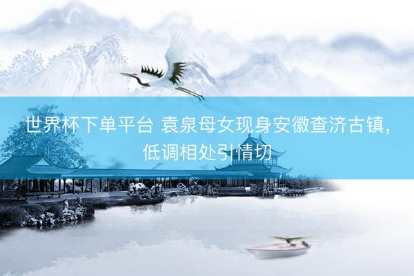 世界杯下单平台 袁泉母女现身安徽查济古镇，低调相处引情切