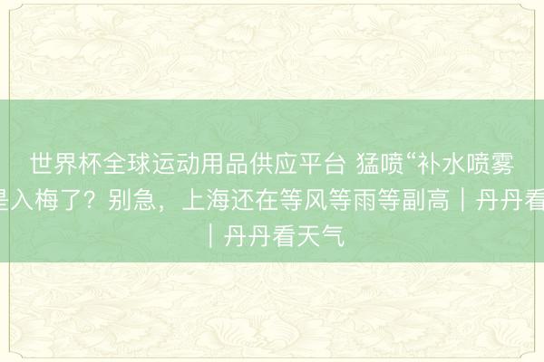 世界杯全球运动用品供应平台 猛喷“补水喷雾”，是入梅了？别急，上海还在等风等雨等副高｜丹丹看天气